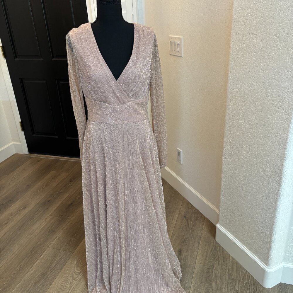 BETSY ADAM NWT Sheer long sleeve floor length blush metallic Gown